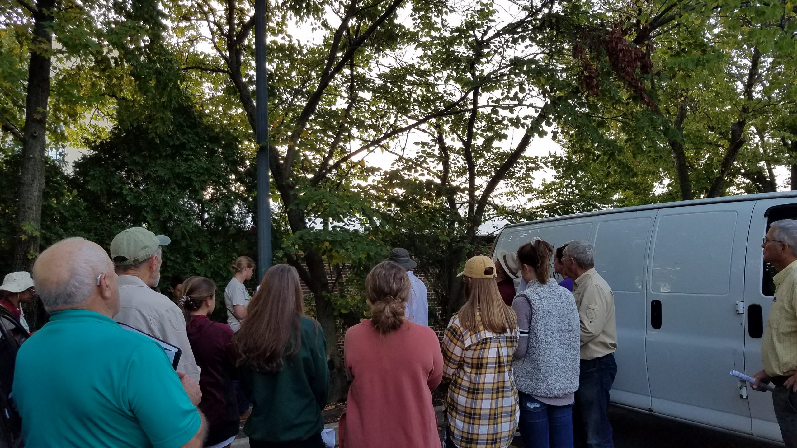 Tree Identification Walk 2019 event picture