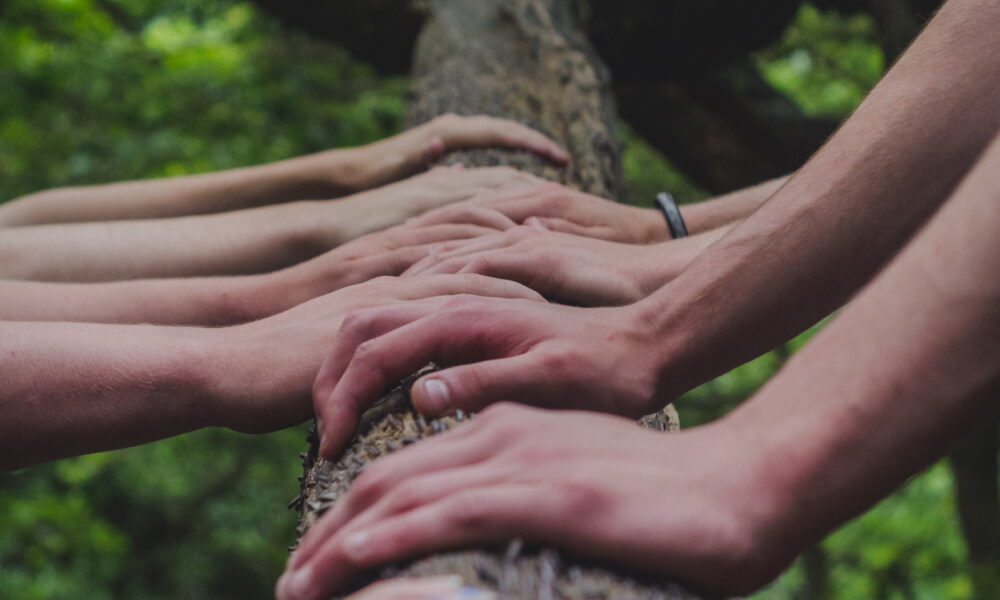 Picture of many hands holding a tree trunk
