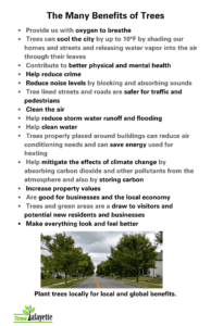 A listing of the many benefits of trees