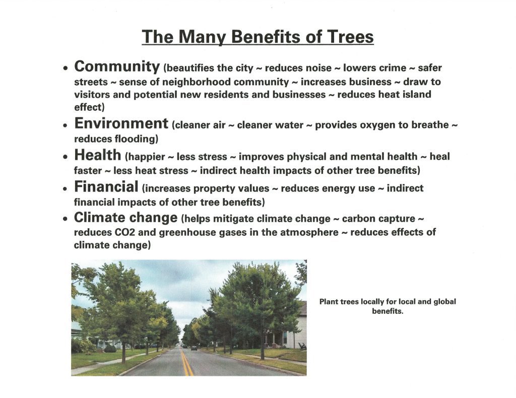 Listing of the Many Benefits of Trees